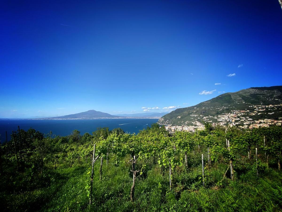 Villa La Badia Montechiaro - Breathtaking View Of Sorrento Coast à Vico Equense Extérieur photo