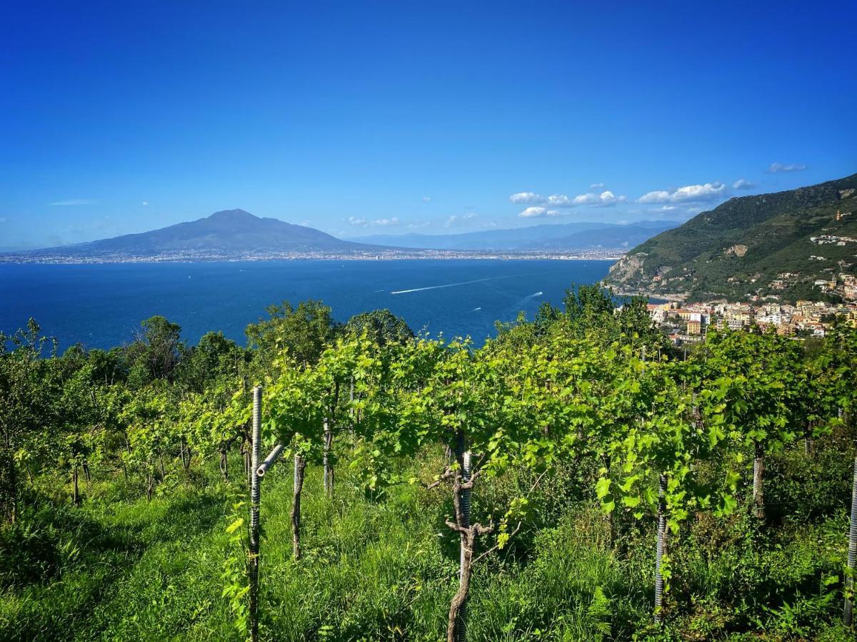 Villa La Badia Montechiaro - Breathtaking View Of Sorrento Coast à Vico Equense Extérieur photo