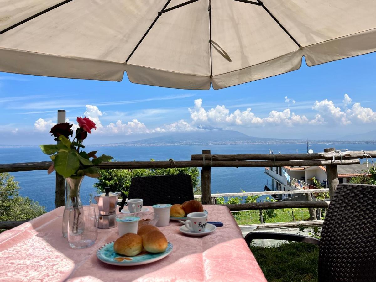 Villa La Badia Montechiaro - Breathtaking View Of Sorrento Coast à Vico Equense Extérieur photo