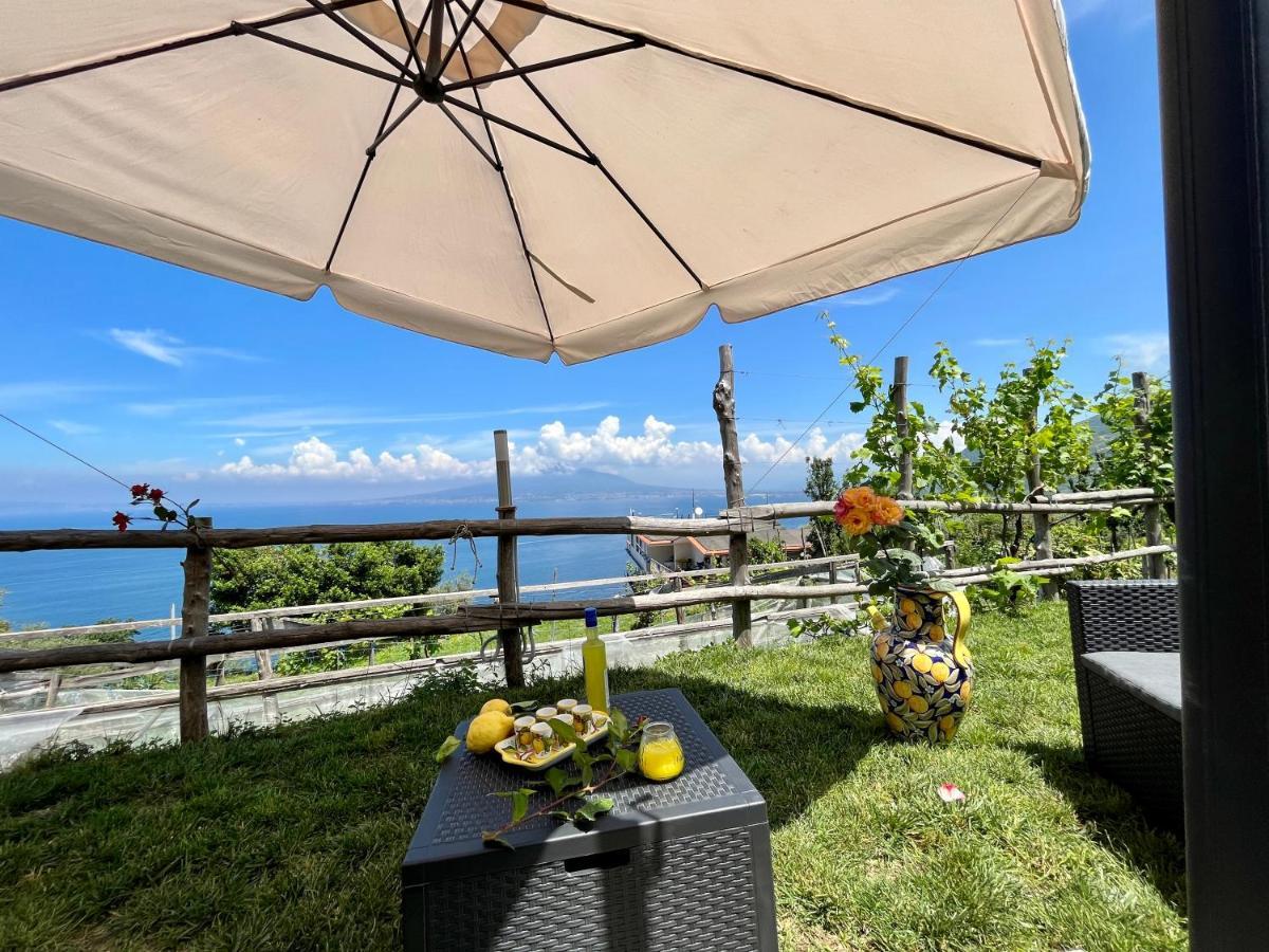 Villa La Badia Montechiaro - Breathtaking View Of Sorrento Coast à Vico Equense Extérieur photo