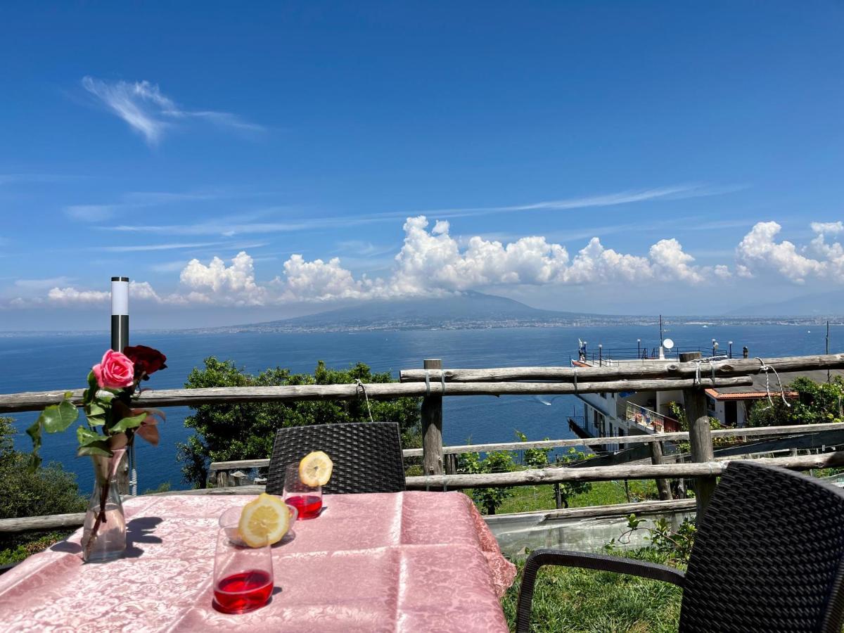 Villa La Badia Montechiaro - Breathtaking View Of Sorrento Coast à Vico Equense Extérieur photo