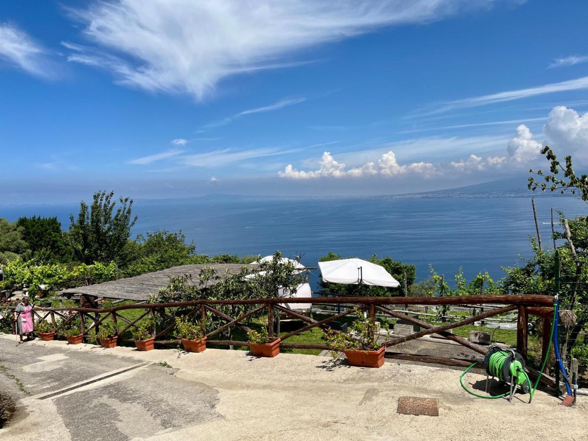 Villa La Badia Montechiaro - Breathtaking View Of Sorrento Coast à Vico Equense Extérieur photo